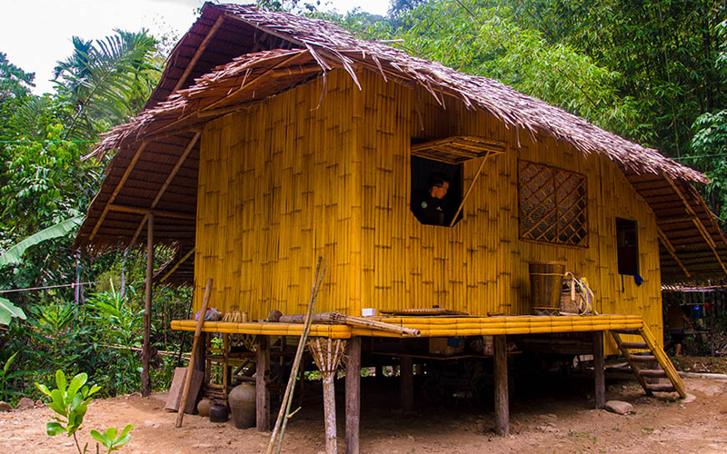 Bamboo Huts